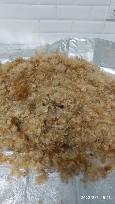 Продам собачу шерсть