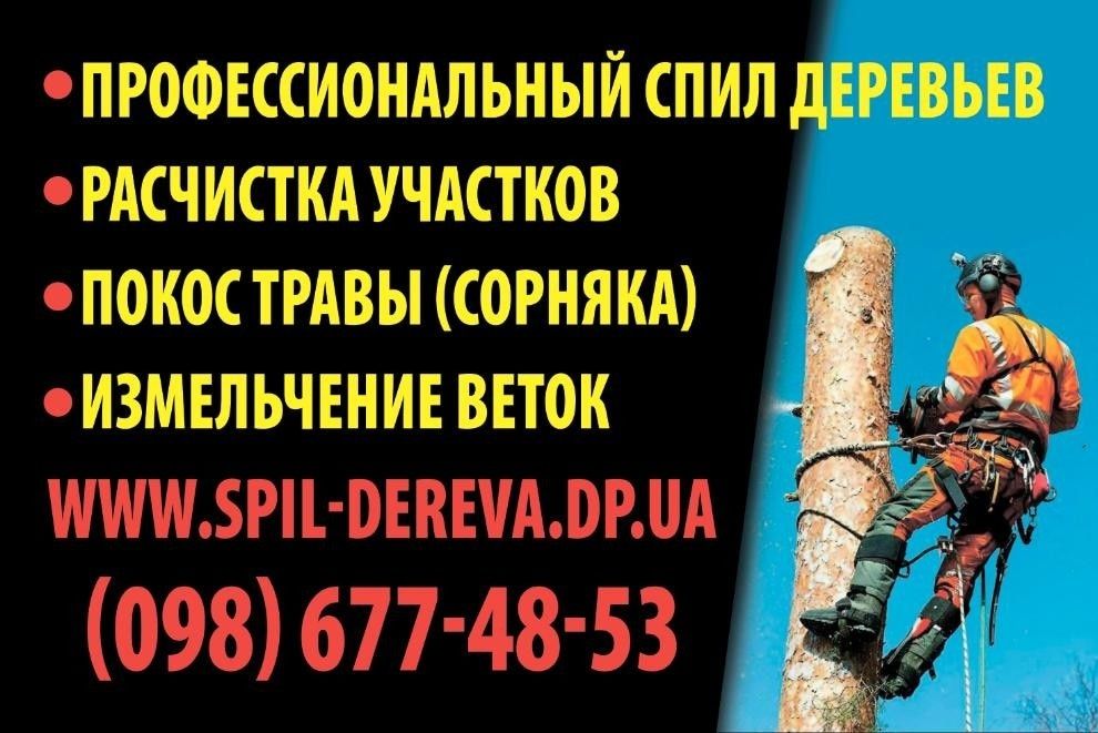 Спил деревьев. Спил деревьев.  Расчистка участков.