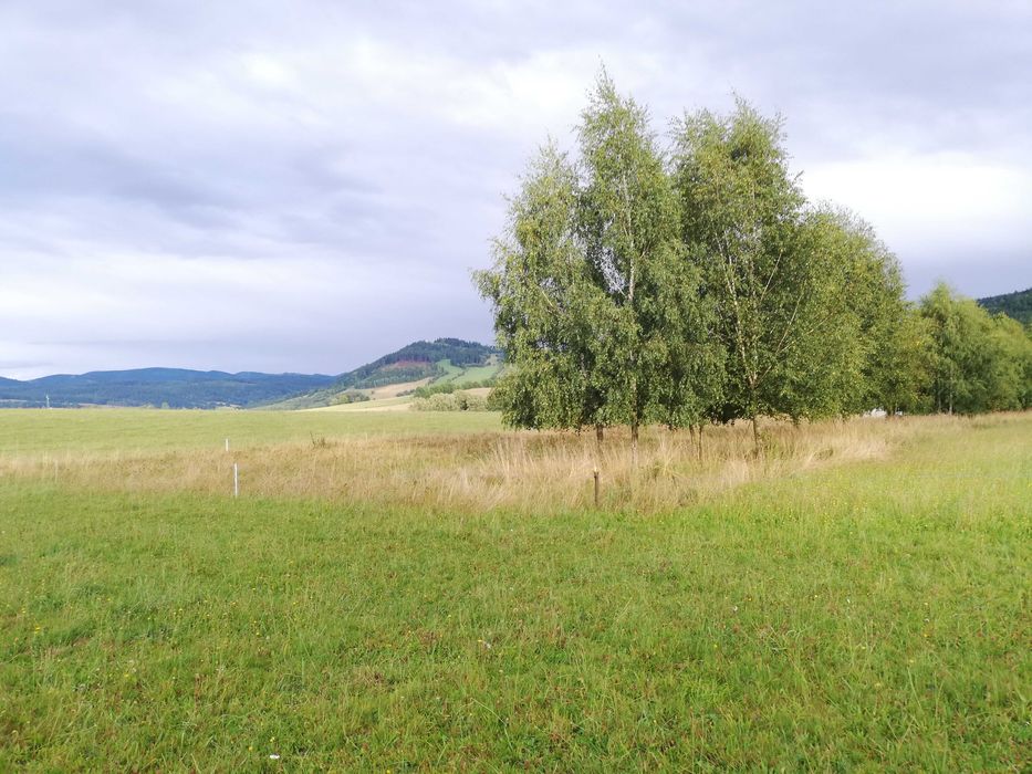 Sprzedam działkę z warunkami zabudowy