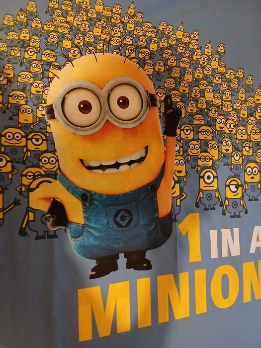 Capa de edredão solteiro Miffy e Minions solteiro.