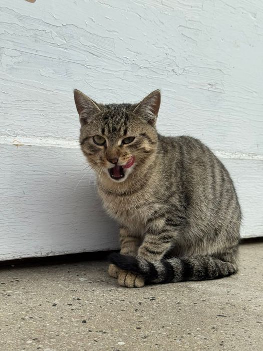 Підліток в хороші руки