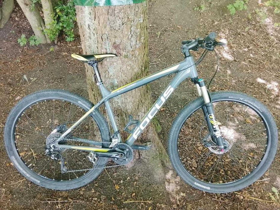 MTB Fokus black forest