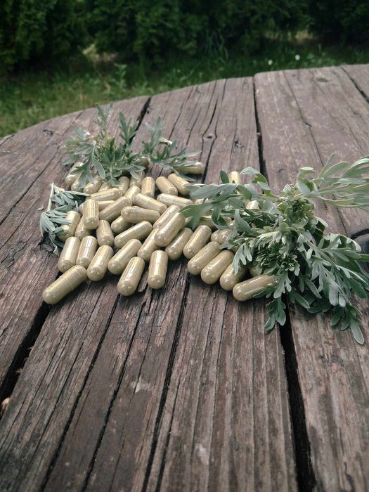 Kuracja Huldy Clark same kapsułki