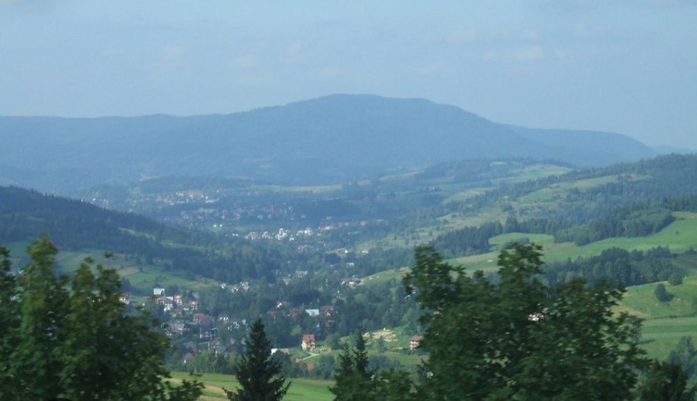 Działka Rdzawka 36 arów