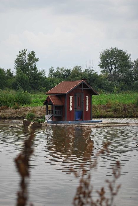 Domek dla łabędzi! domek budka dla kaczek!