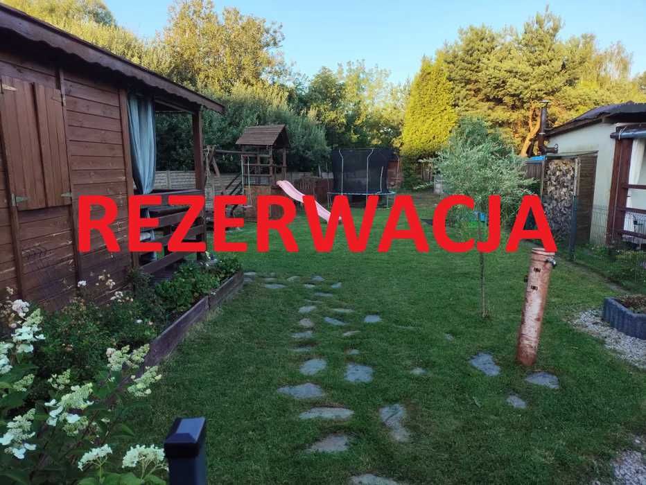 Działka rod "Krokus" w Blachowni
