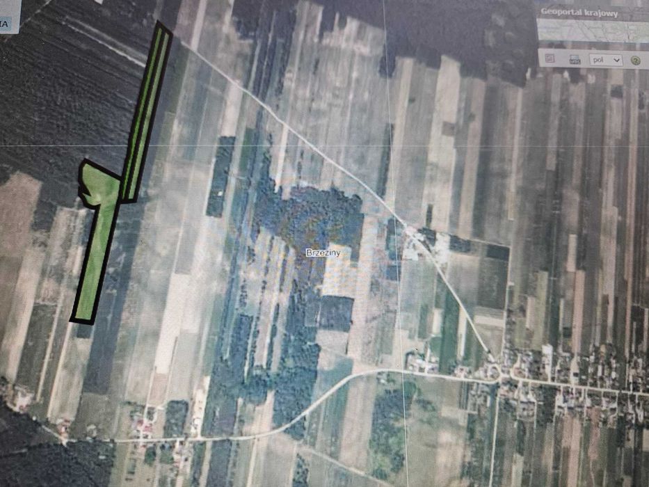 Sprzedam działkę rolną w Brzezinach 6,82 ha gm. Szydłów pow. staszowski - Widok 2