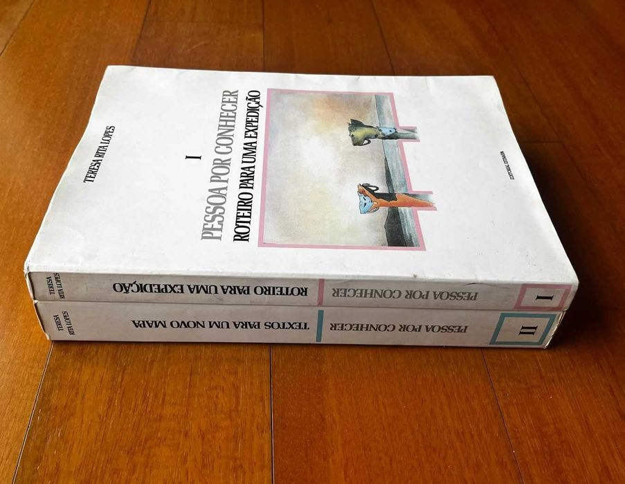 "Pessoa Por Conhecer" de Teresa Rita Lopes