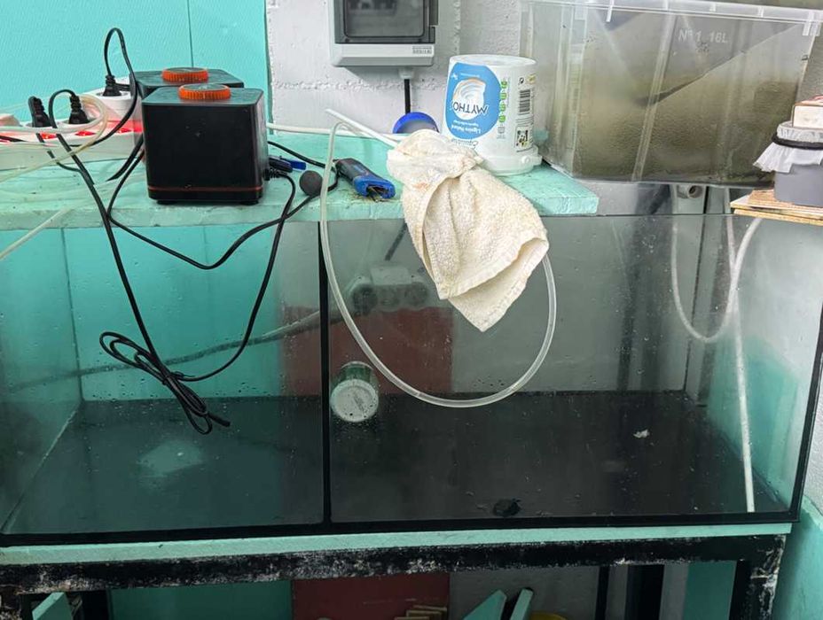 Sistema de Aquários para Criação e Engorda - 9 Tanques + Sump