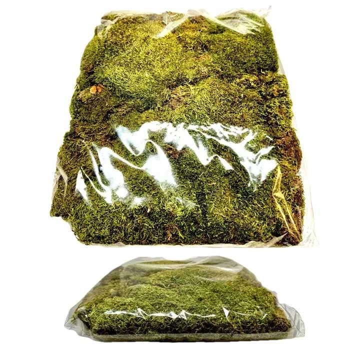 Mech pospolity. Naturalny 300 gram.