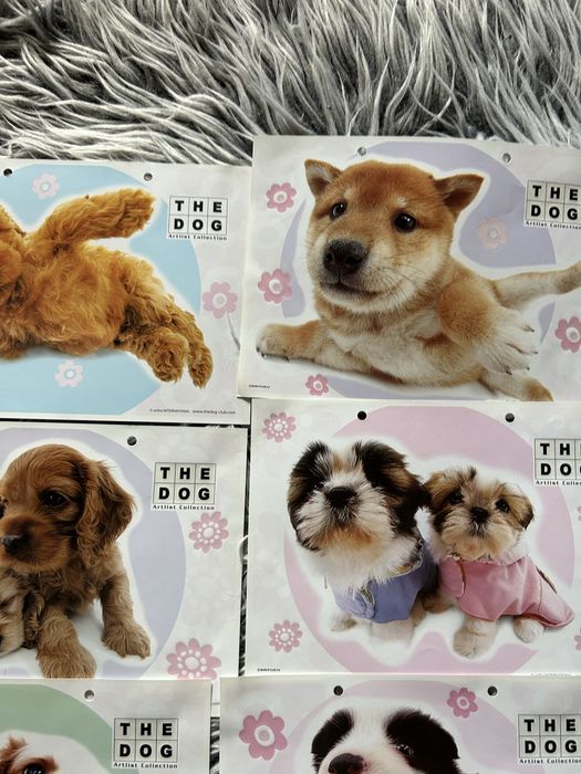 the dog karteczki