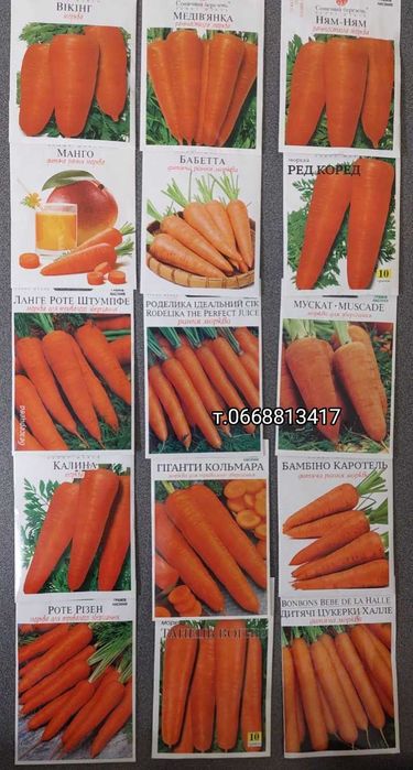 Насіння Моркви Лагуна Абако Канада Шантане Нантес Оленка Червоний Веле