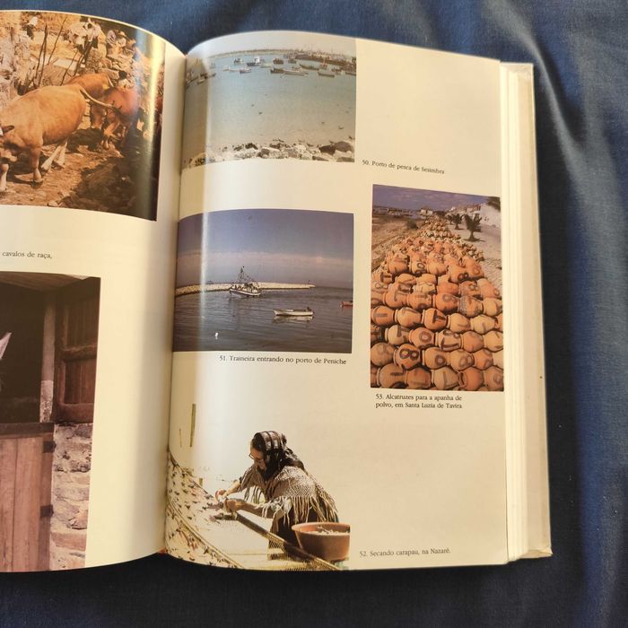 Raquel Soeiro de Brito - Portugal Perfil Geográfico