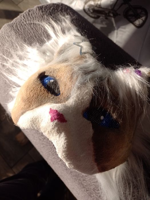 Maska kota therian ragdoll