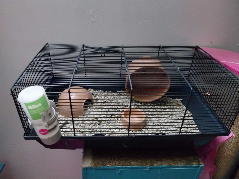 Gaiola para hamster completa - como nova