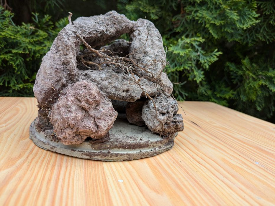 Grota z lawy wulkanicznej z korzeniem