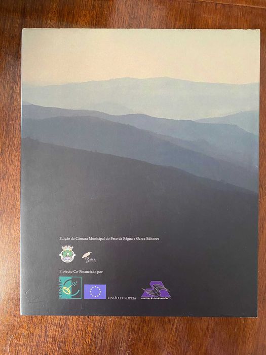 Peso da Régua, À Descoberta da "Terra Nova" - José Braga-Amaral, Mário Mendes