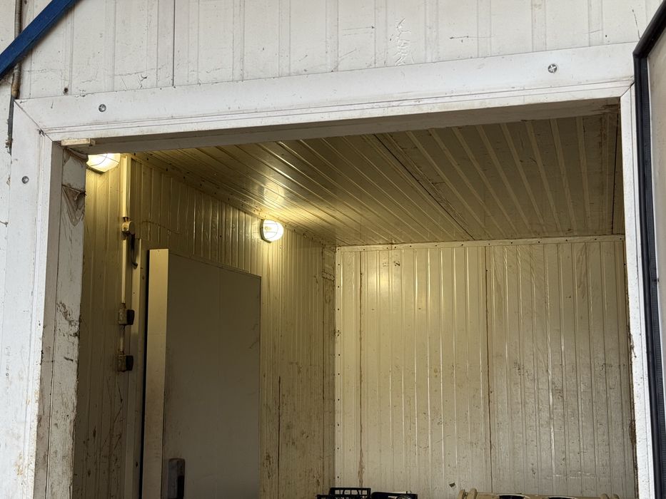 Оренда холодильної камери, холодильне приміщення 102кв/м.