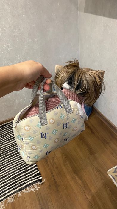 Переноска для тварин до 2 кг туалет для собак