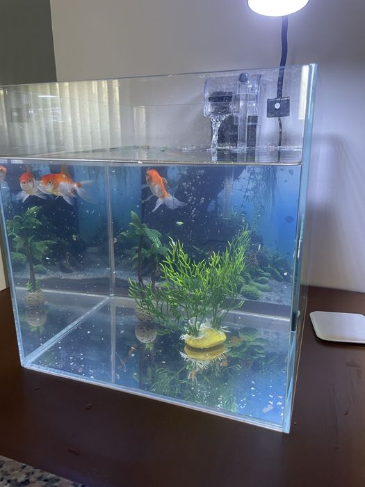 Aquario para peixes  27L