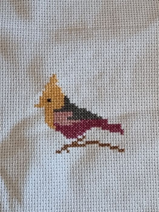 Conjunto de pássaros ponto de cruz