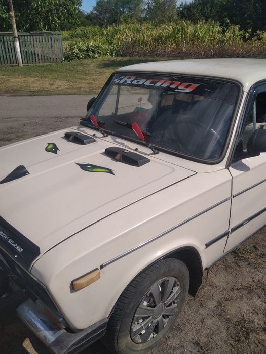 Продам живую шоху