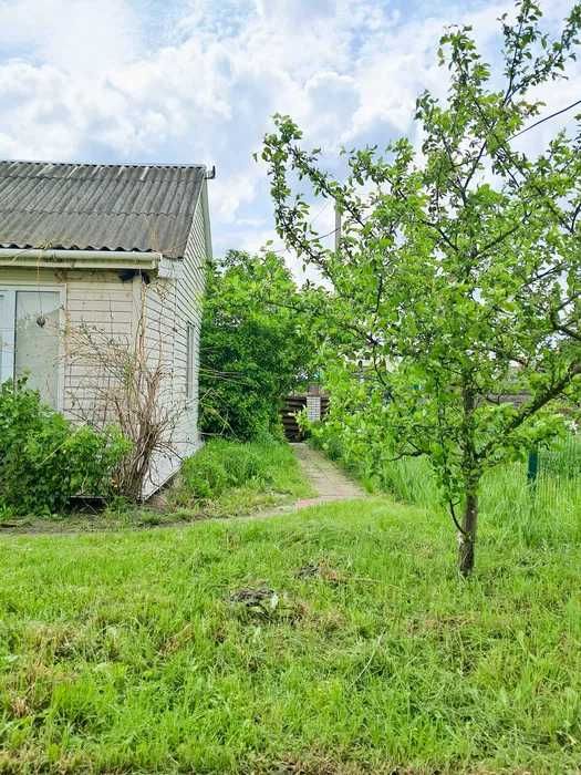 Будинок для відпочинку біля річки та лісу (дача) в с.Літочки