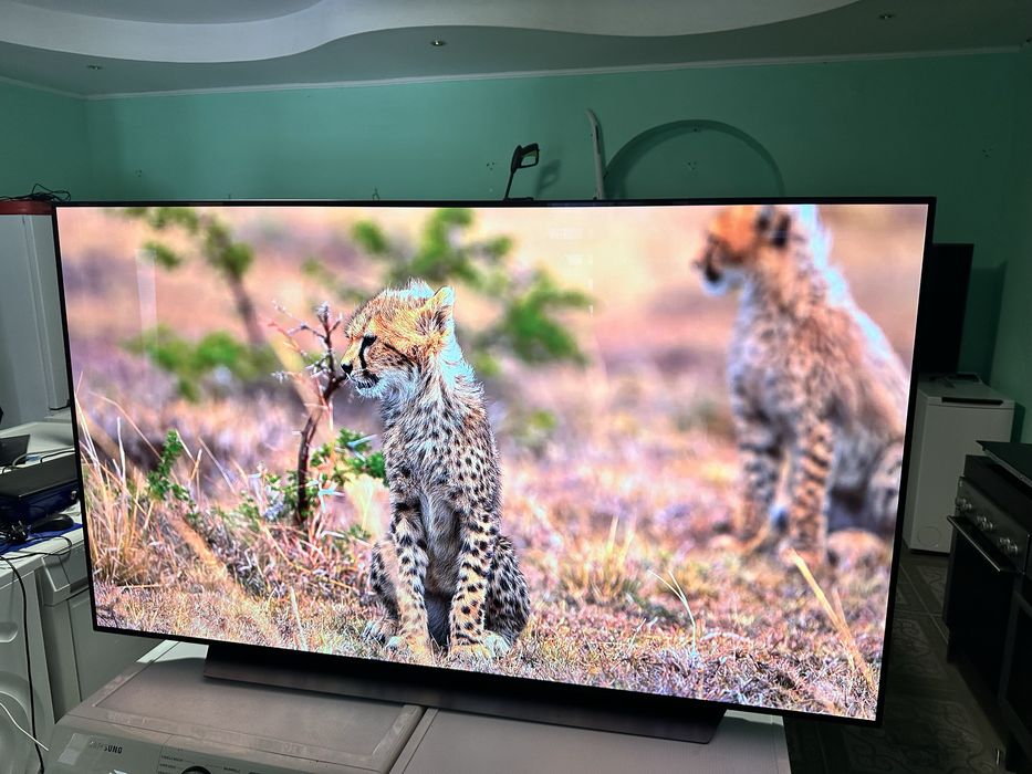 LG OLED65CX9LA – 65” OLED 4K Smart TV