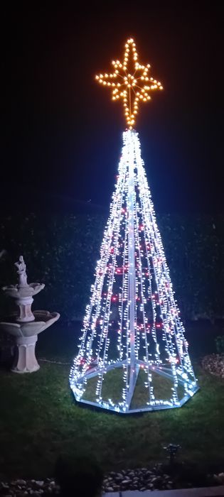 Illuminated Christmas Pine Tree64861901538562122