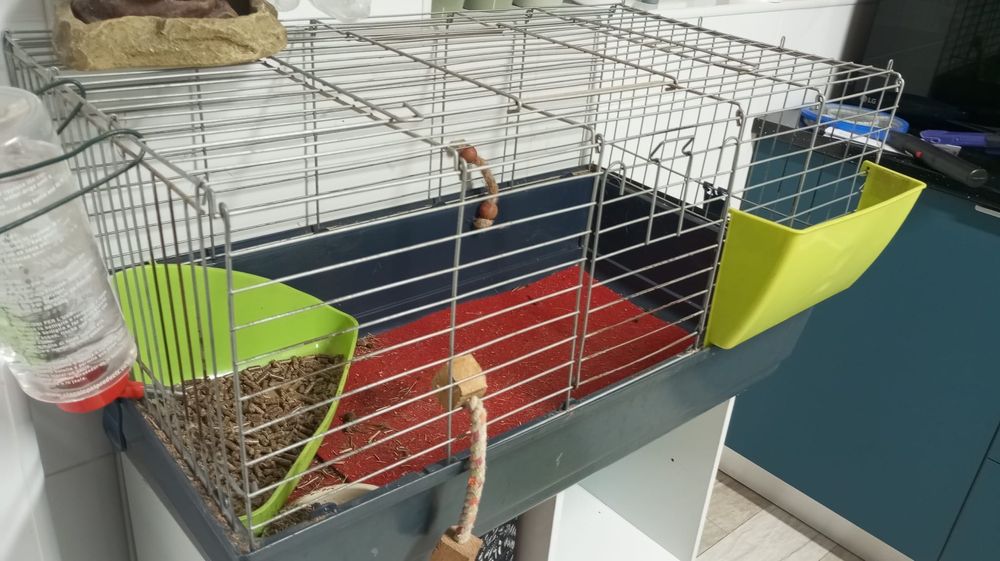 Gaiola para roedor- bom estado