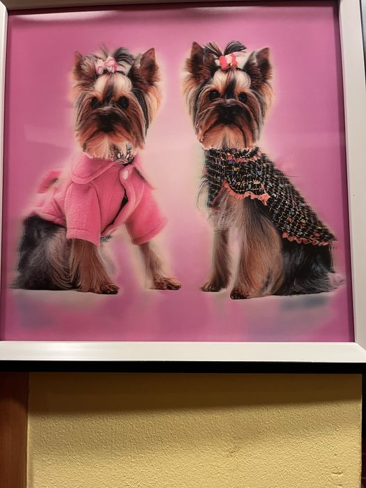 Quadro 3D com cães – Tattoon