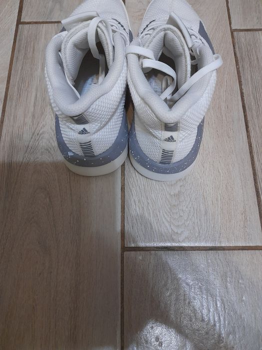 Adidas pro next buty