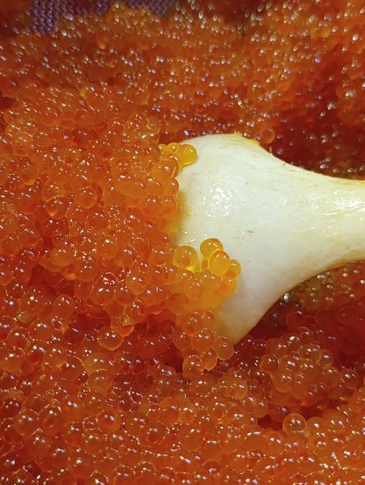 Тільки у нас ( червона ікра )завжди свіжа середнього посолу