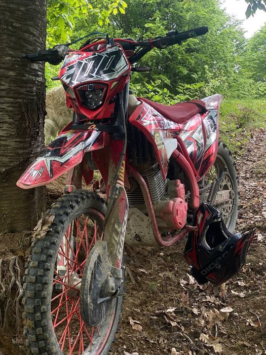 geon trx 300 2025