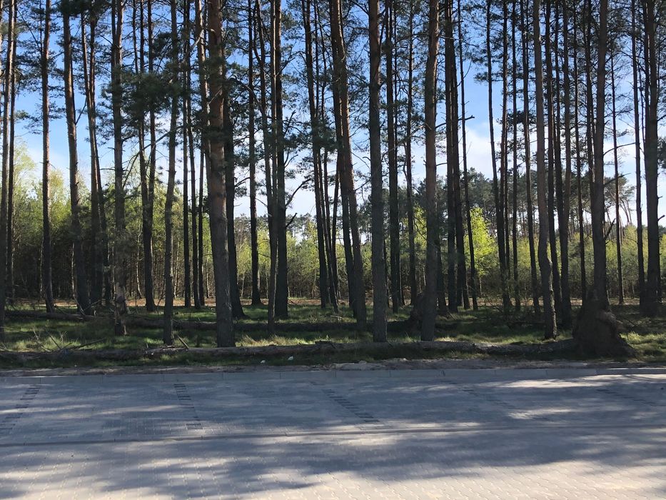 Wynajme kawalerke Zielona Góra Łezyca od 30 stycznia 2026