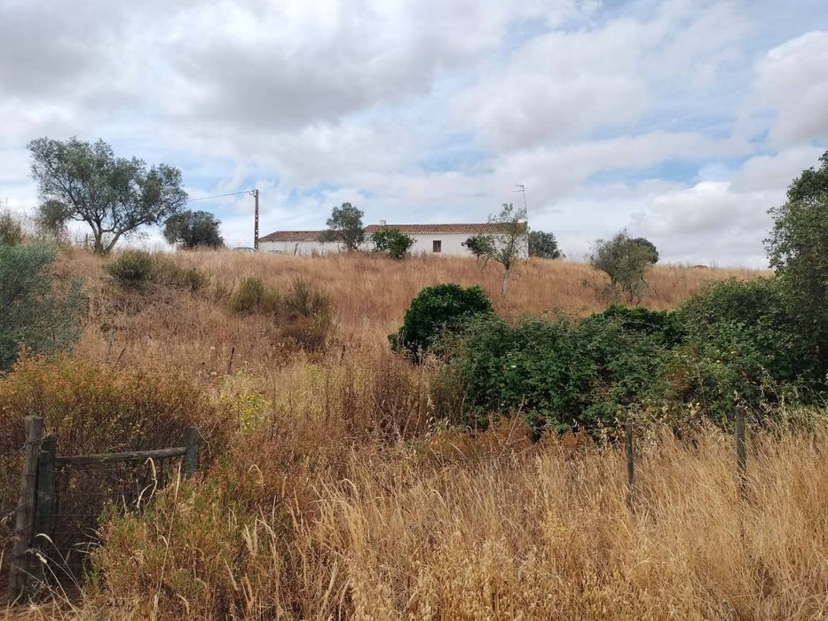 Herdade barragens poço furo ribeira monte olival cortiça gado turismo etc só com o próprio