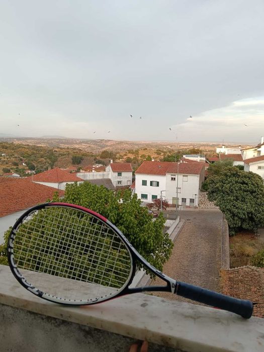 Raquete de ténis Tecnifibre