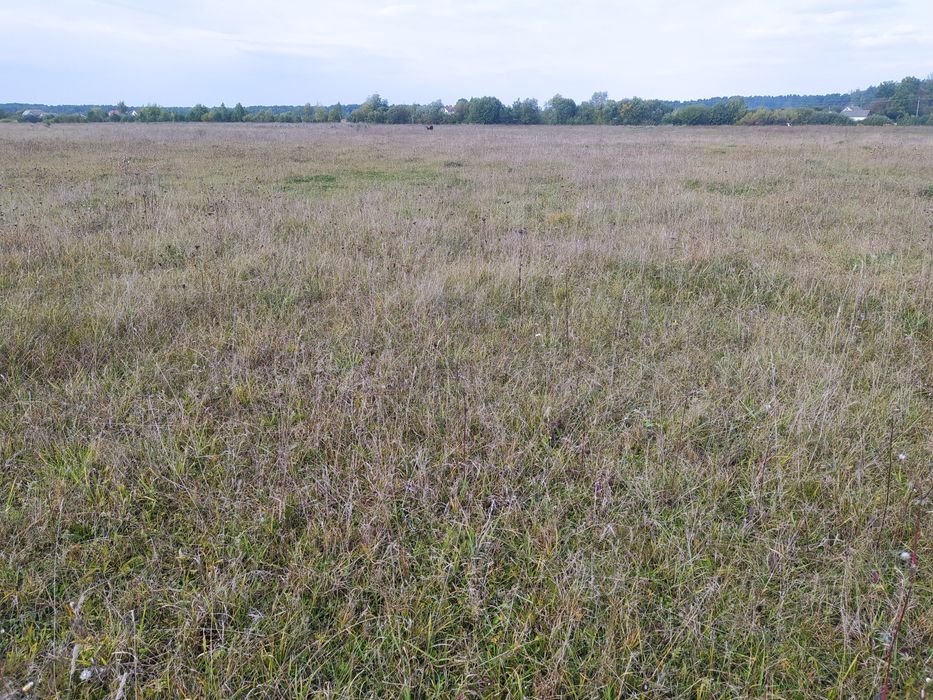 Участок село Забороль