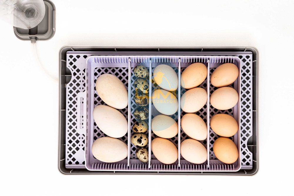 INKUBATOR AUTOMATYCZNY LUMI do 20 JAJ na Kaczki Indyki Przepiórki Gęsi