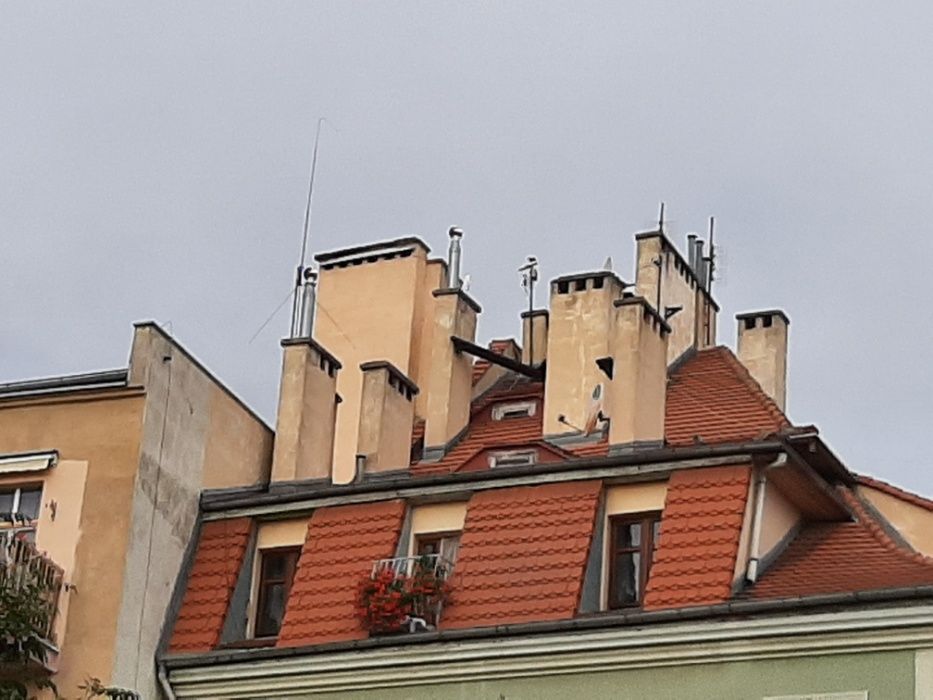 Dachy. Naprawa. Montaż budowa nowych. Kominy. Rynny.