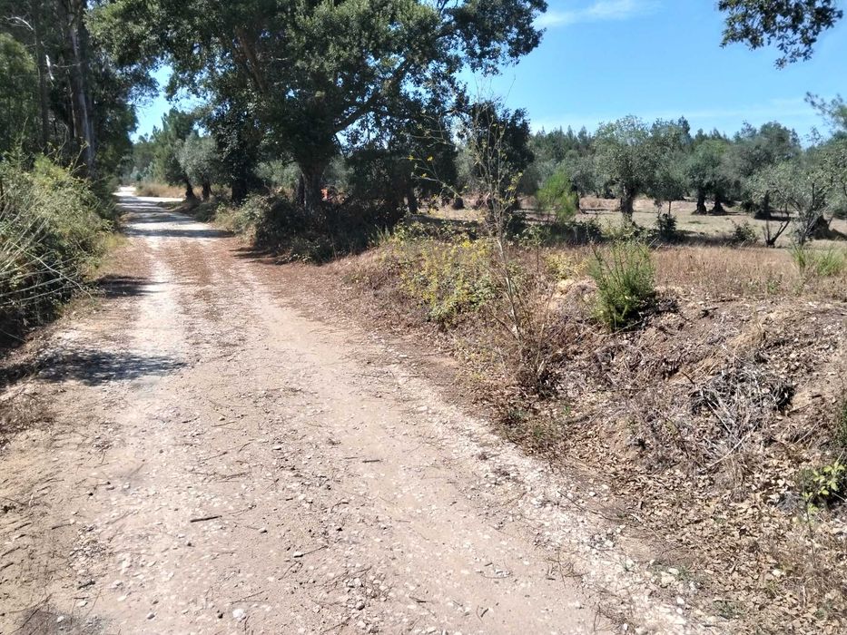 Terreno Rustico Inserido em zona de campo, localizado na periferia da Localidade