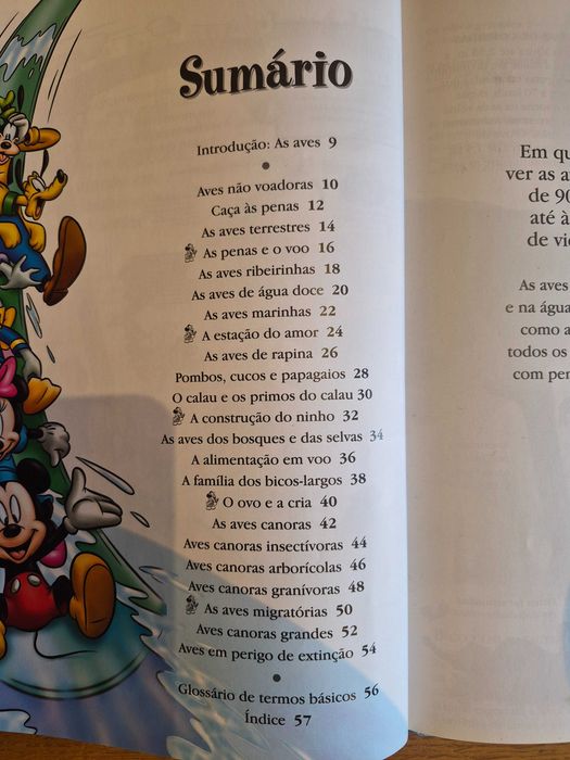 Coleção Disney, salvat, enciclopédia infantil , 24 volumes