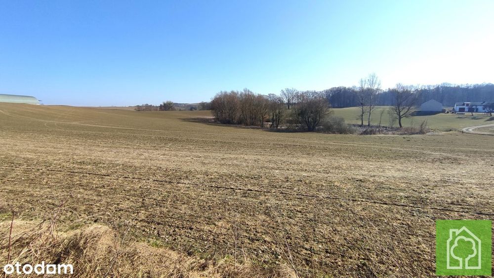 Działka, Wola