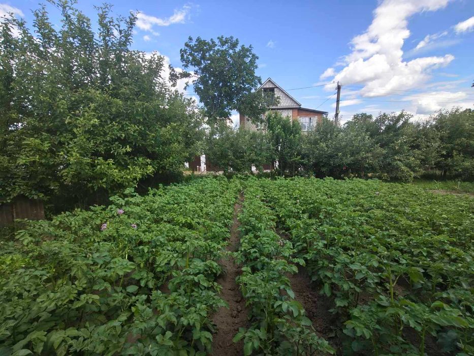 Продам 3 ділянки з дачкою на Вінницьких Хуторах 3030