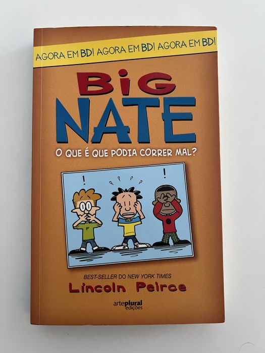 Big Nate - o que poderia correr mal?