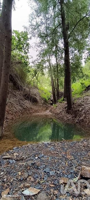 Terreno em Monchique de 30,00 m2