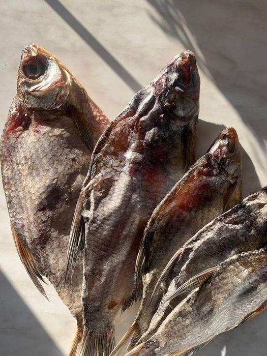 Тарань (густера)