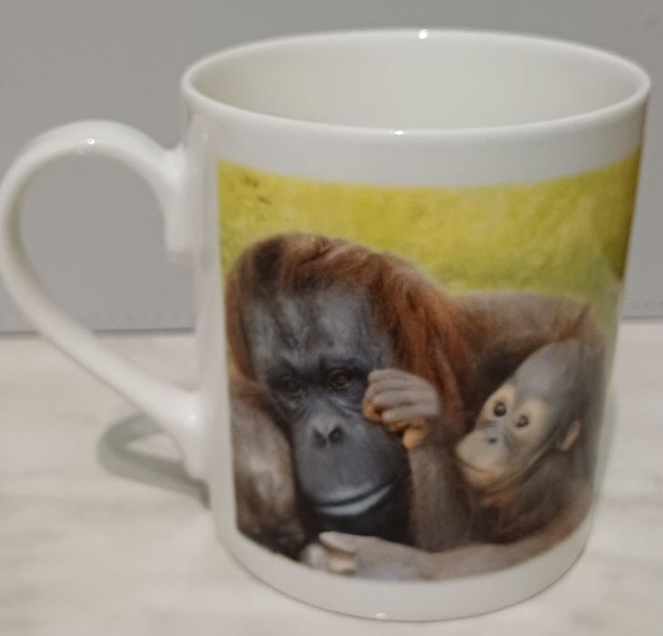 Чашка из тонкого фарфора марки G.W.P Fine China.