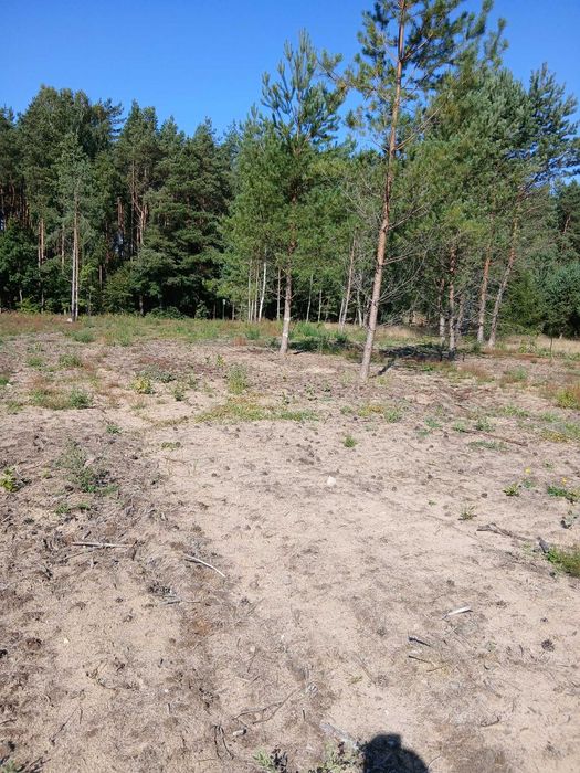 KASZUBY działki budowlane WZ Struga Gmina Stara Kiszewa pow. Kościerski. - Widok 3