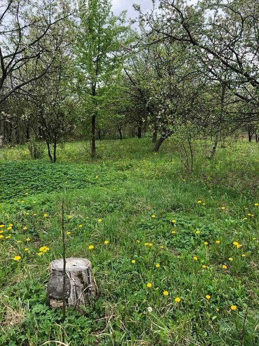 Продається дачна ділянка з фундаментом в гарній локації в Братківцях